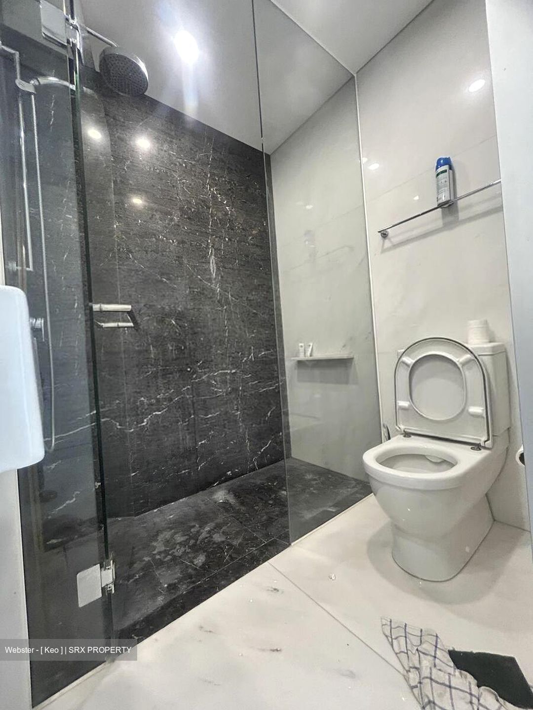 St. Regis Residences (D10), Apartment #510498021